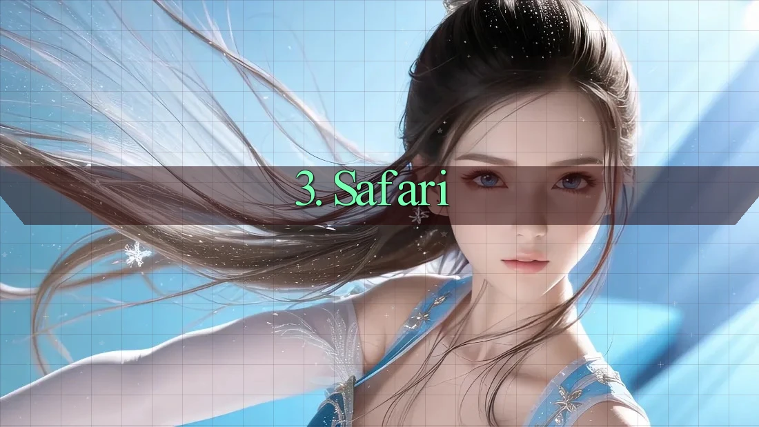 3. Safari 3. Safari