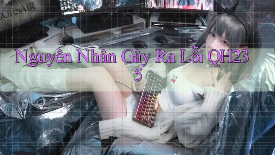 Nguyên Nhân Gây Ra Lỗi QH235 Nguyên Nhân Gây Ra Lỗi QH235