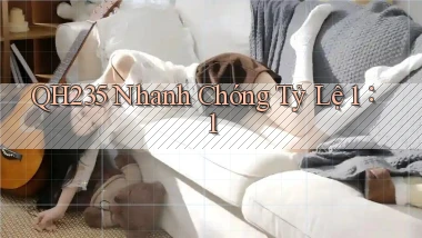 qh235 nhanh chóng tỷ lệ 1：1